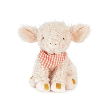 Load image into Gallery viewer, Hammie the Pig
