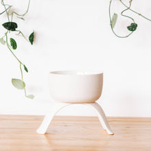Load image into Gallery viewer, High Rise, Shallow Planters CR22