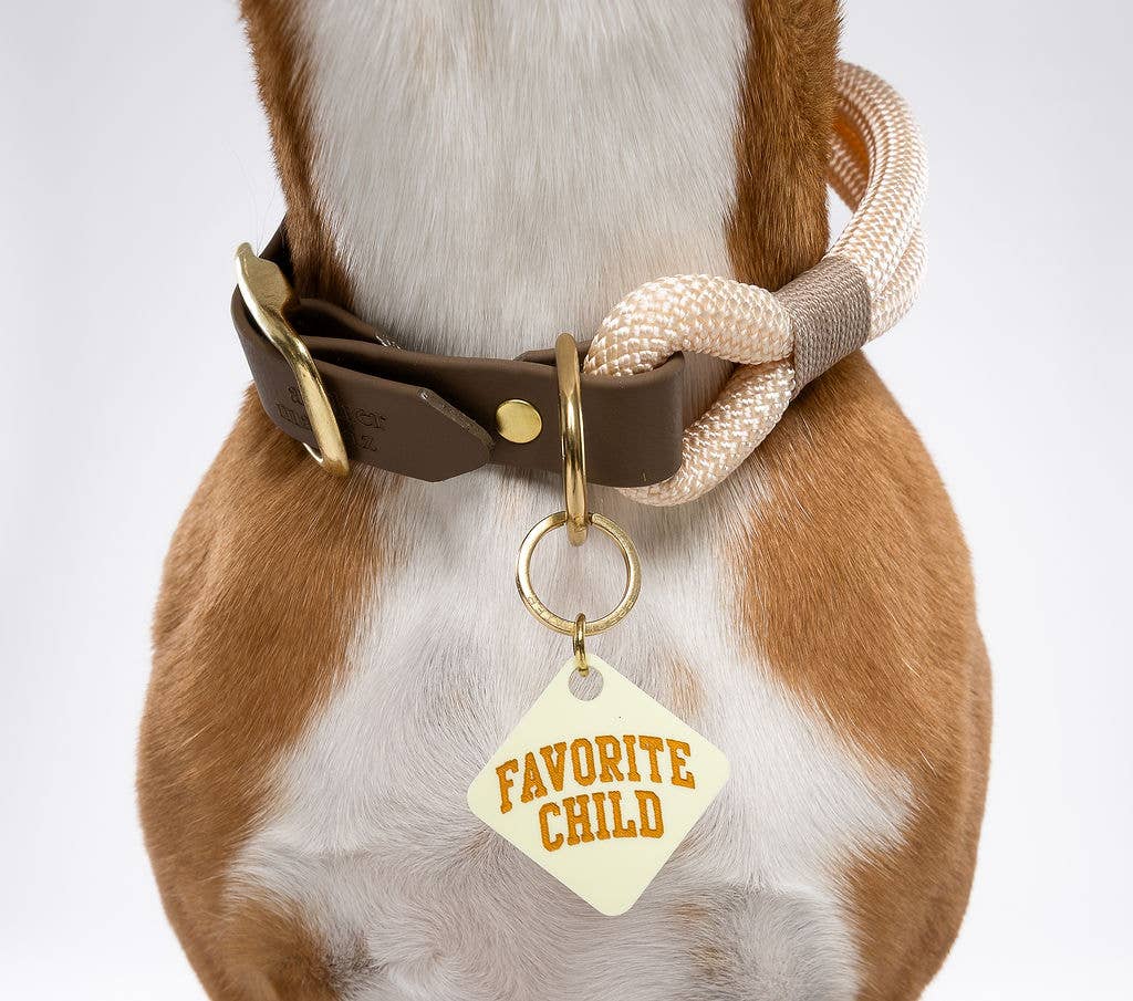 Favorite Child Pet Tag