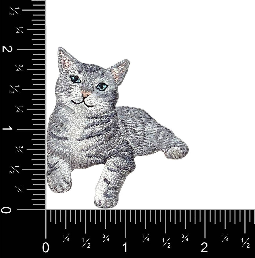 Gray Tabby Cat, Kitten, Pets, Animals, Iron on Patch IR