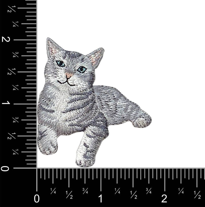 Gray Tabby Cat, Kitten, Pets, Animals, Iron on Patch IR