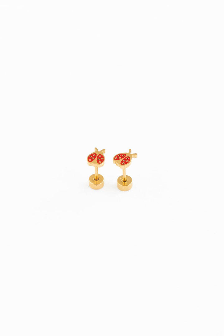 Ladybug pp15