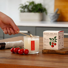 Load image into Gallery viewer, Wild Tomato Vine - Plant the Box Candle - 9oz.