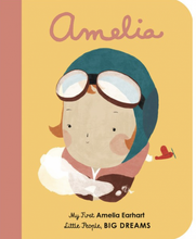 Load image into Gallery viewer, Amelia Earhart (Little People, Big Dreams)