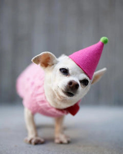 Pawty Hat - Pink