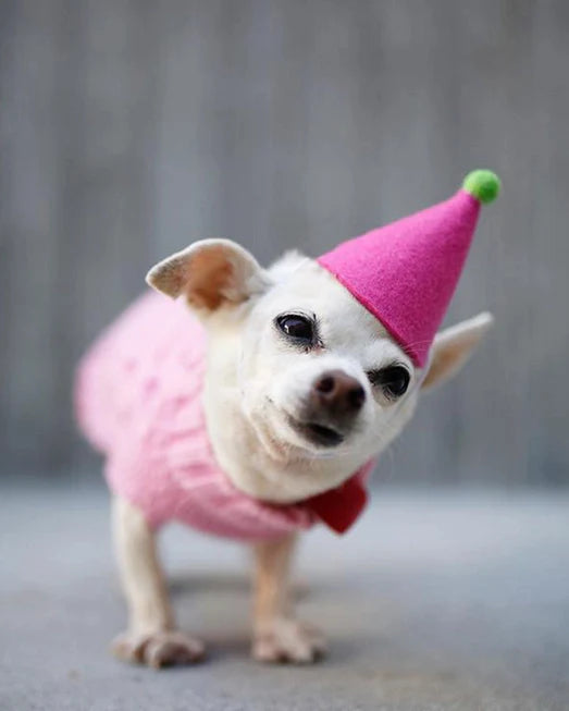 Pawty Hat - Pink MD01