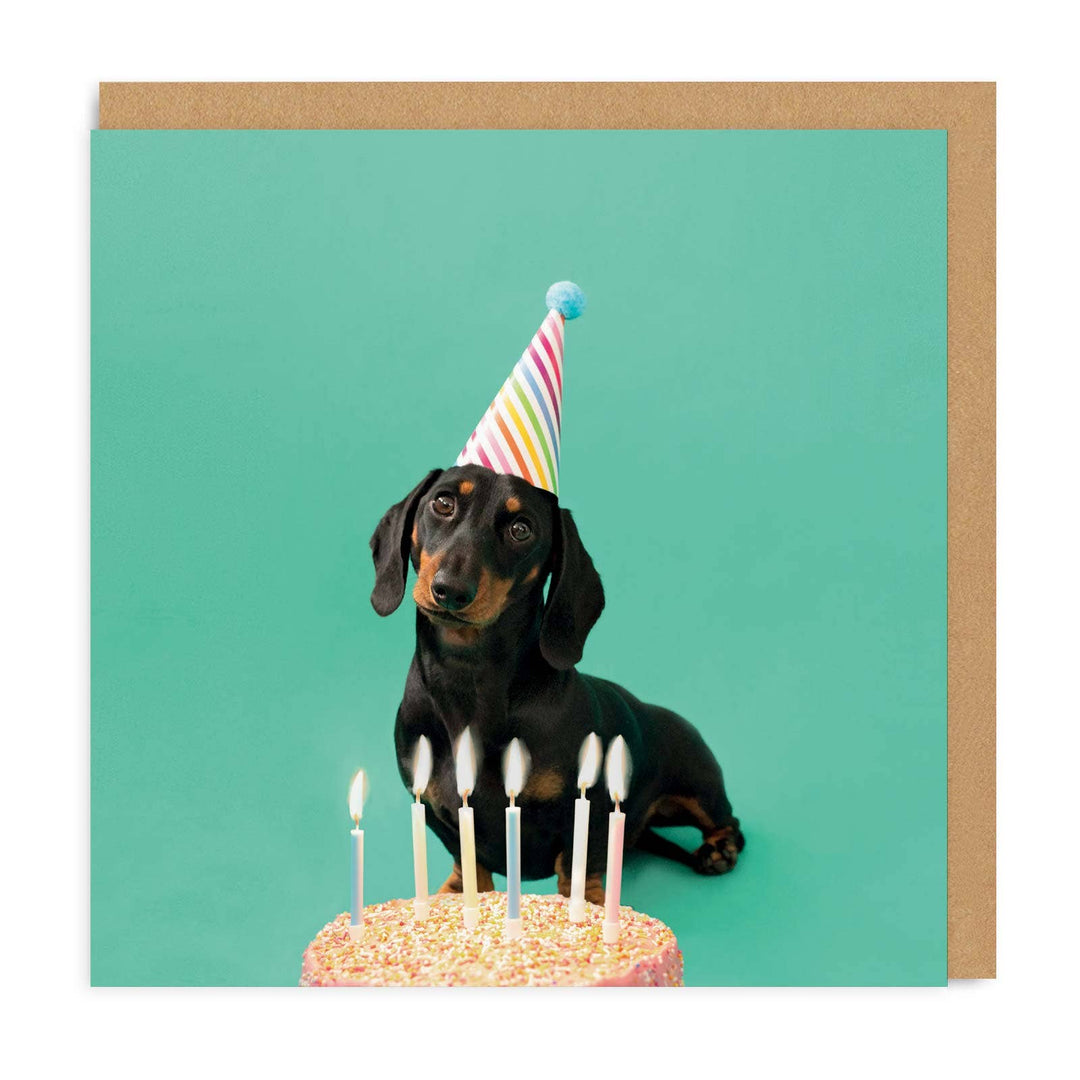 Scout Party Hat Greeting Card