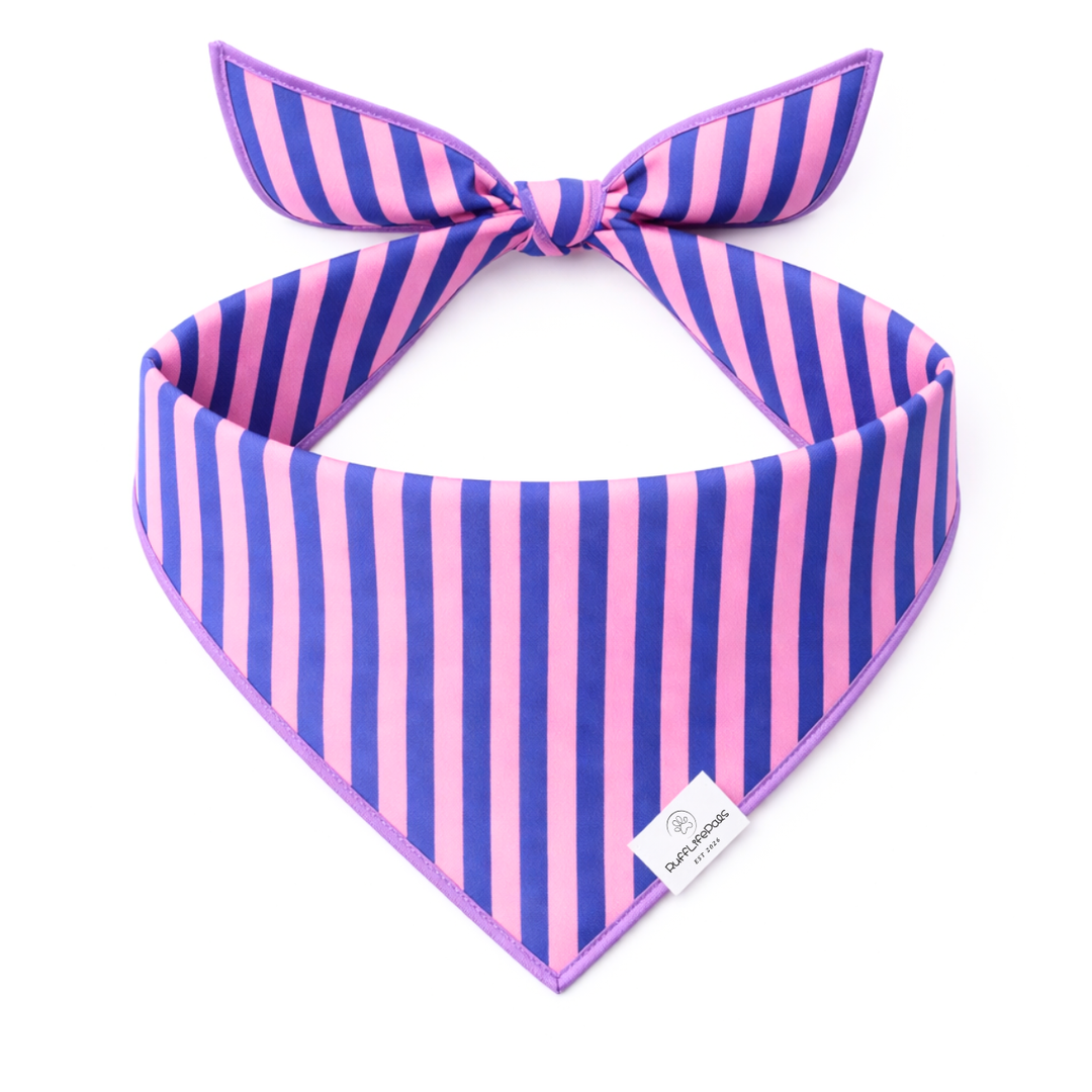 Purple &amp; Pink Striped Dog Bandana