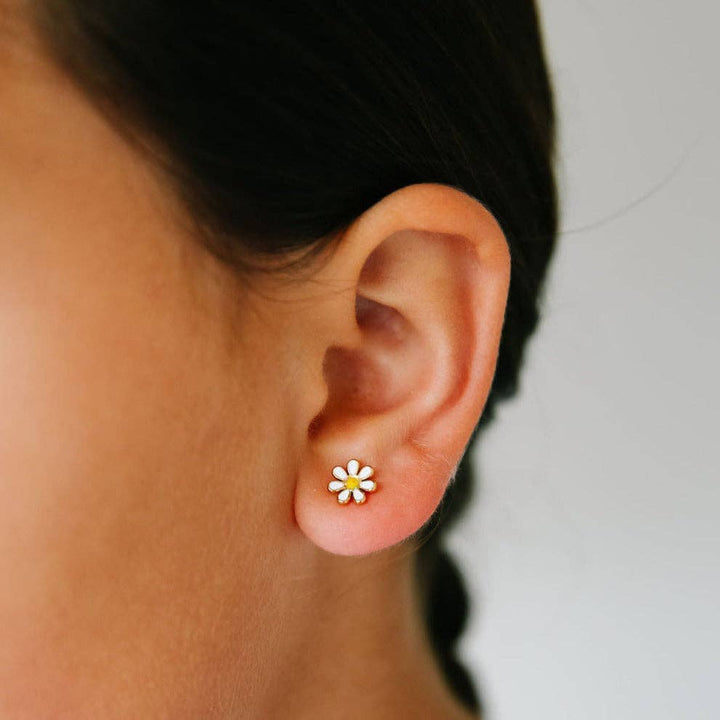 Daisy PP20