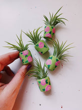 Load image into Gallery viewer, The Sage Rosey Pot