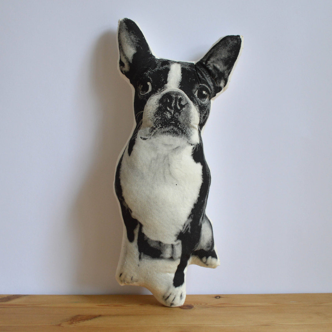 Boston Terrier Pillow