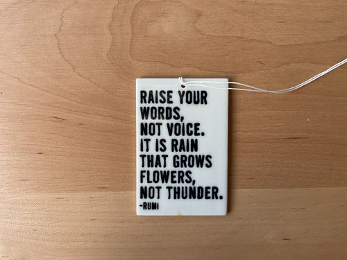 Raise your words not voice