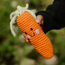 Load image into Gallery viewer, Friendly Plush Carrot Rattle