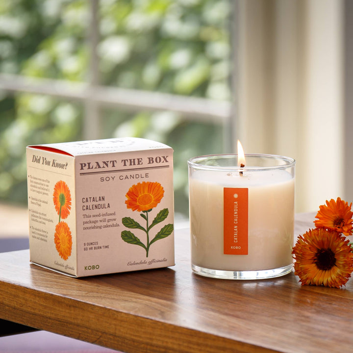 Catalan Calendula - Plant the Box Candle - 9oz.