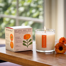 Load image into Gallery viewer, Catalan Calendula - Plant the Box Candle - 9oz.