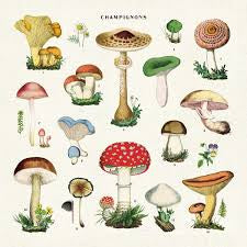 Vintage napkins mushroom