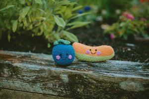 Friendly Plush Blueberry  Rattle