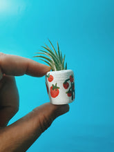 Load image into Gallery viewer, Tomato Mini Planter with Plant