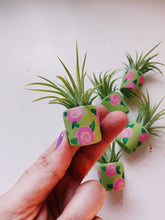 Load image into Gallery viewer, The Sage Rosey Pot