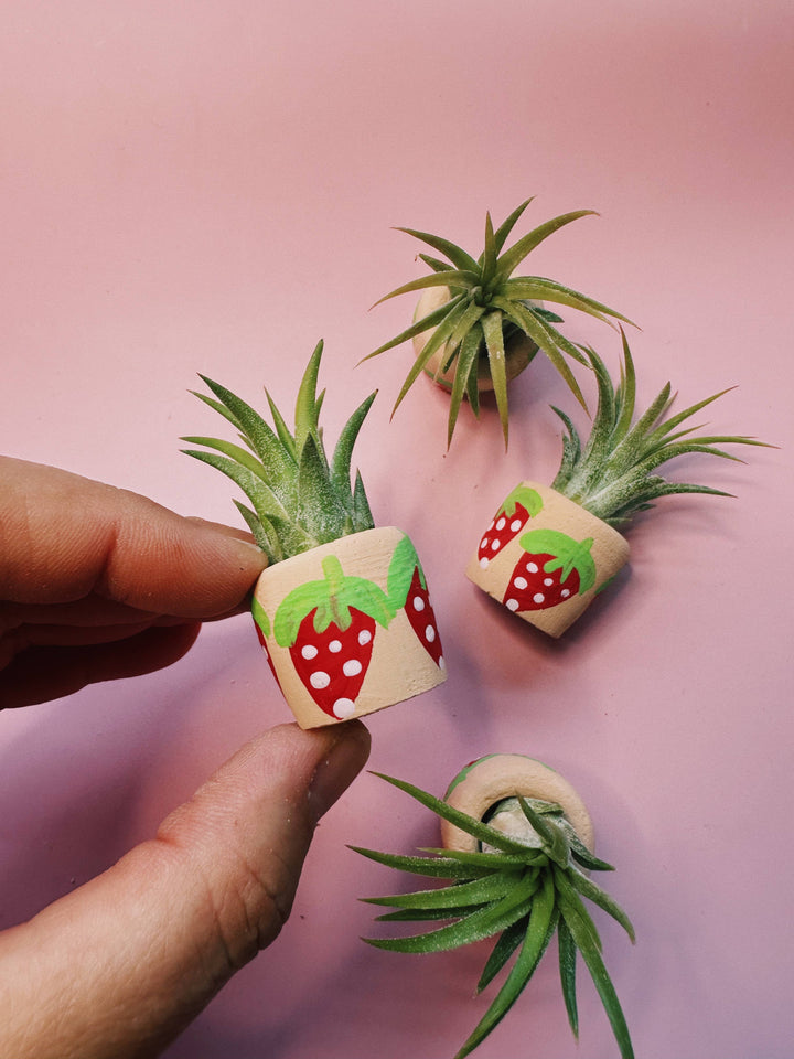 Berry Cute Mini Planter