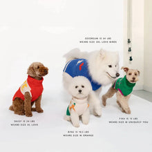 Load image into Gallery viewer, Uniquely You Sweater