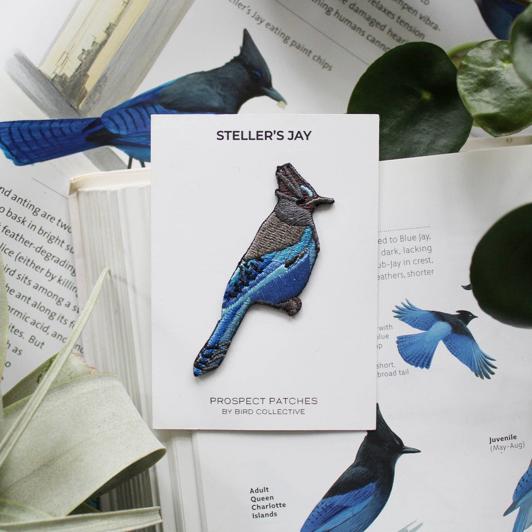 Steller&