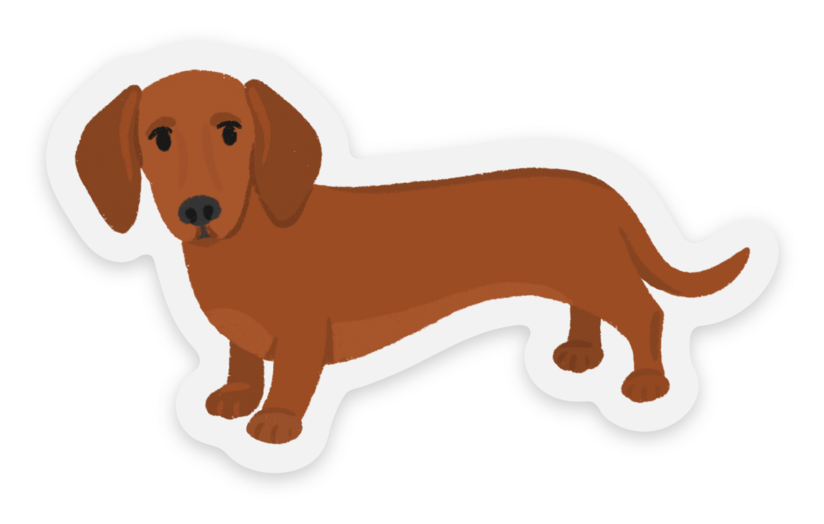 Daschund Dog Sticker