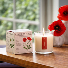 Load image into Gallery viewer, Red Poppy - Plant the Box Candle - 9oz.
