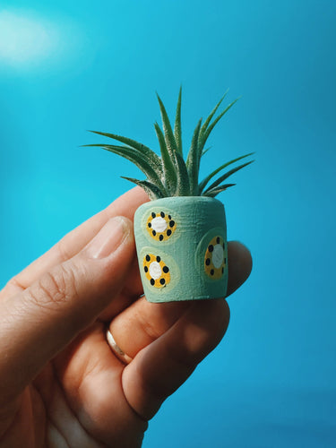 Kiwi Mini Planter with Plant