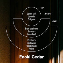 Load image into Gallery viewer, Enoki Cedar - Alchemy Incense Cones