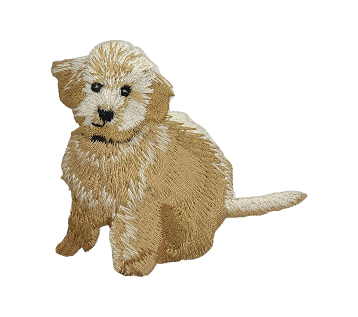 Golden Doodle, Dogs, Pets, Puppy, Iron on Patch IR