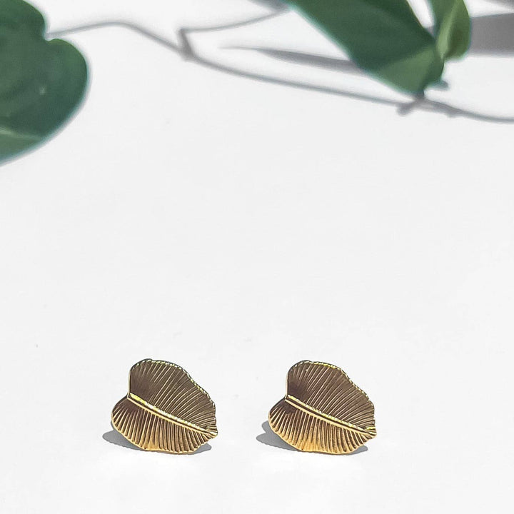 Philodendron Studs NC55