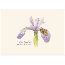 Load image into Gallery viewer, Bumblebee Assortment Notecard Set