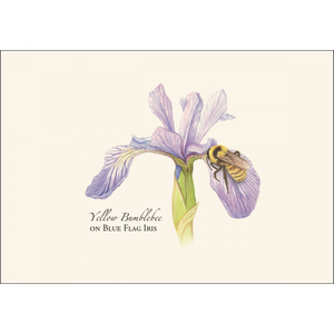 Bumblebee Assortment Notecard Set