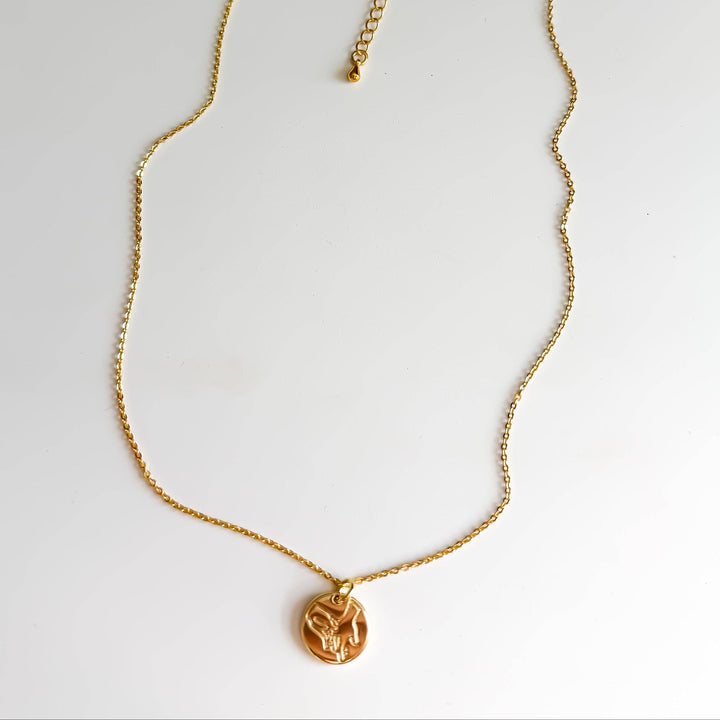 The Darcy Necklace NC231