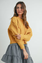 Load image into Gallery viewer, sweater