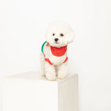 Load image into Gallery viewer, Flower Sweater