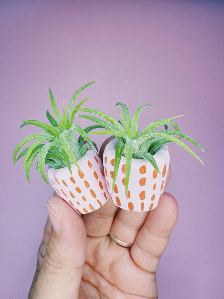 The Minimal Mini Planter