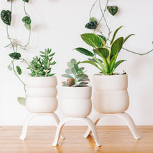 Load image into Gallery viewer, High Rise, Wiggle Planters CR23