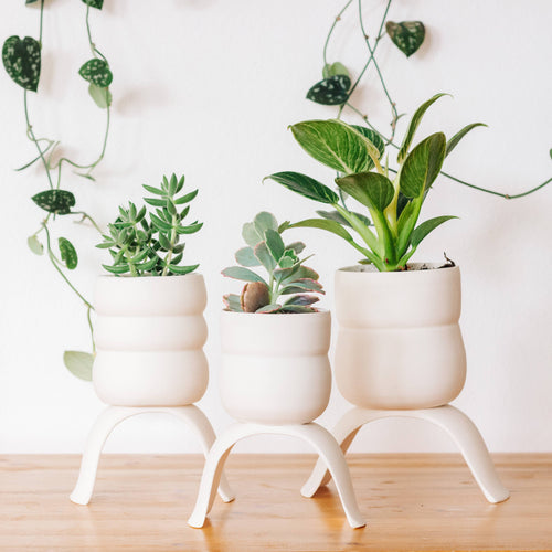 High Rise, Wiggle Planters CR23