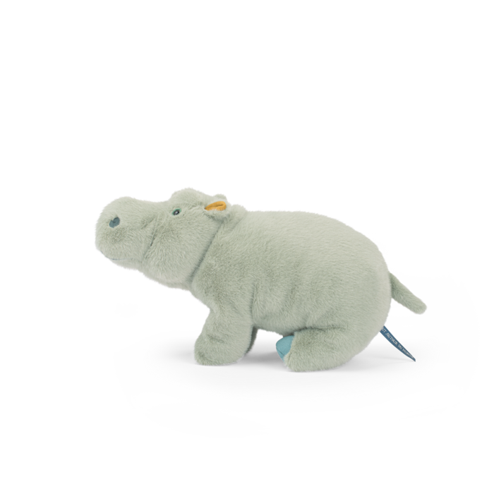 Large hippopotamus - All Around the World