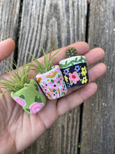 Load image into Gallery viewer, The Sage Rosey Pot