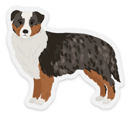 Australian Shepherd Dog Sticker