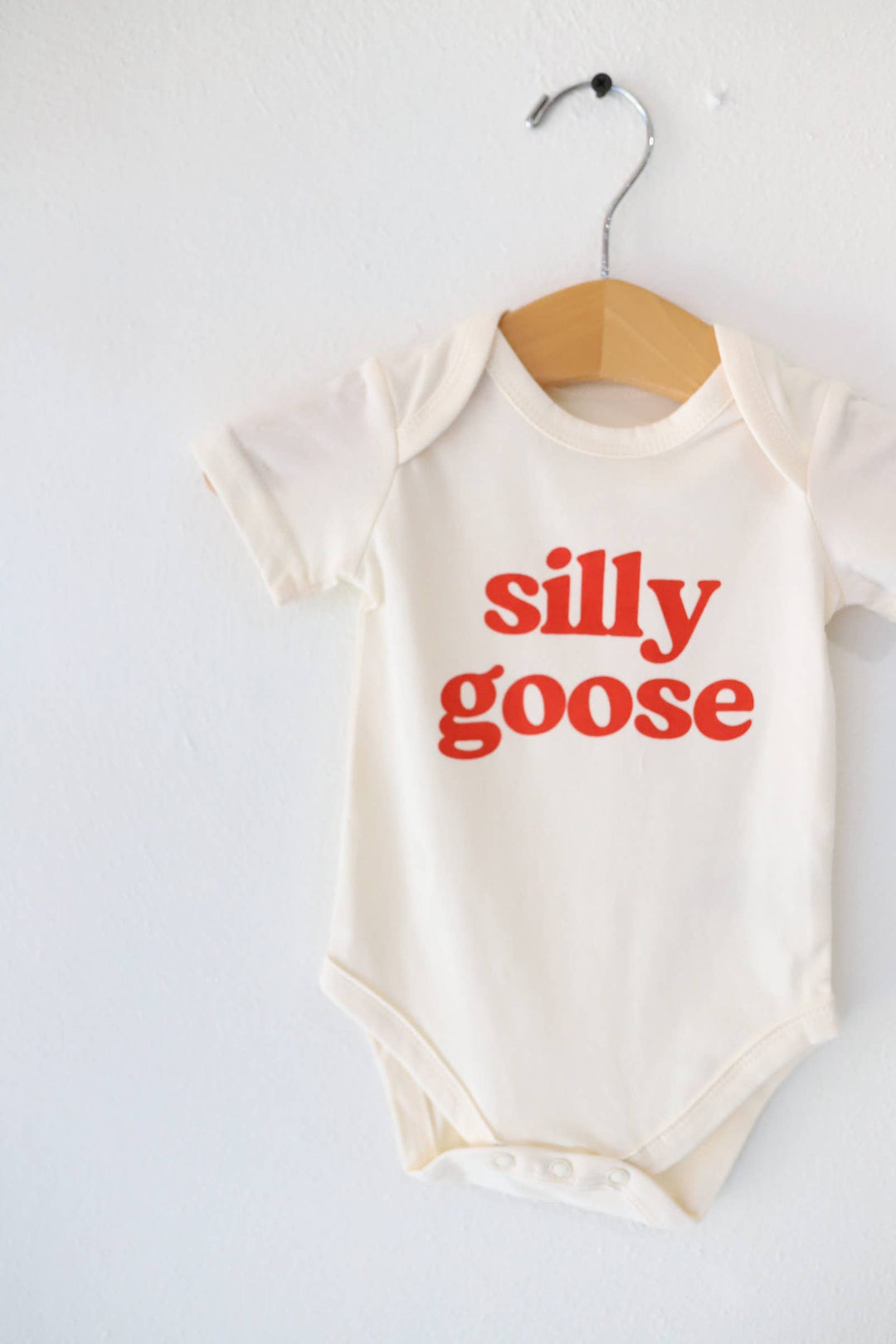 Silly Goose Baby Onesie, baby clothes, baby boy, baby girl PP963