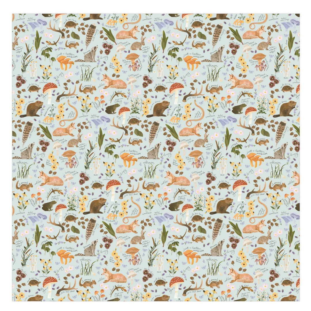 Flora &amp; Fauna Baby Swaddle CT22