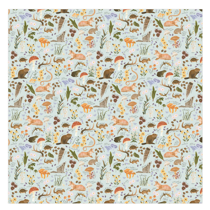 Flora &amp; Fauna Baby Swaddle CT22