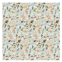 Load image into Gallery viewer, Flora &amp; Fauna Baby Swaddle CT22