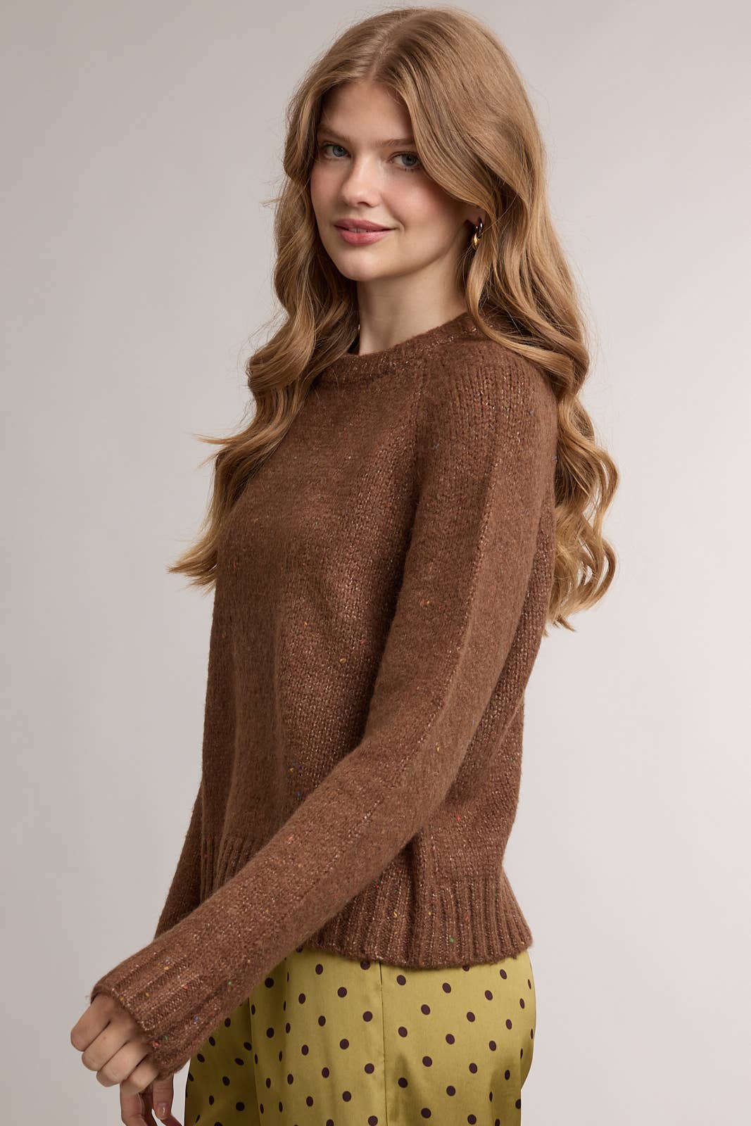 SPECKLED SOFT KNIT CREWNECK SWEATER / WL26