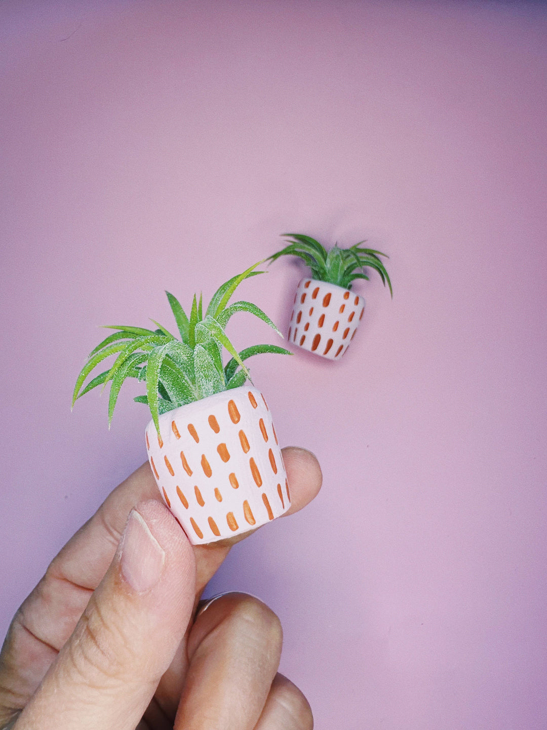 The Minimal Mini Planter
