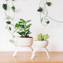 Load image into Gallery viewer, High Rise, Shallow Planters CR22